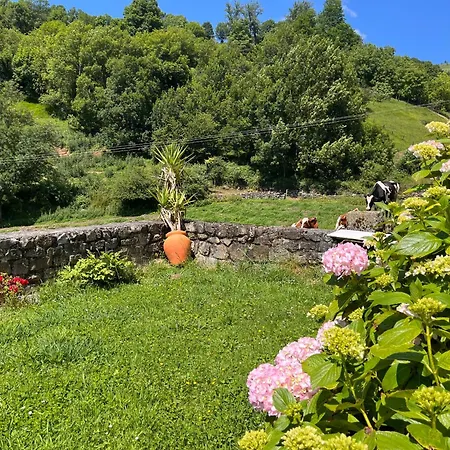 Alojamento de Acomodação e Pequeno-almoço De