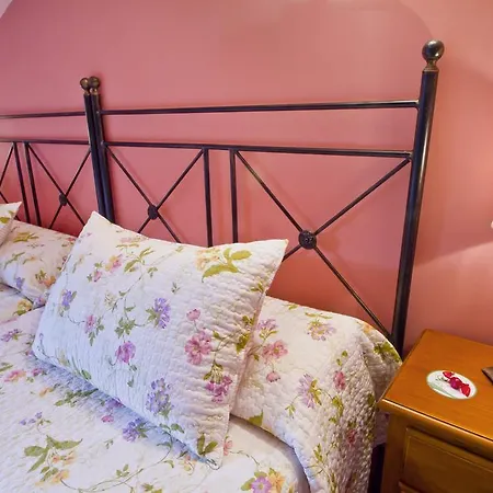 Bed & Breakfast De 3*