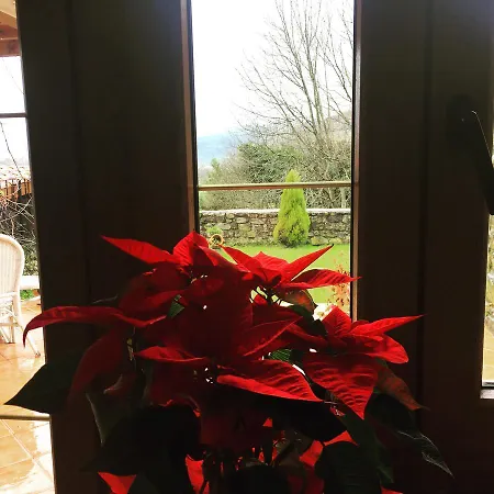 De Bed & Breakfast 3*