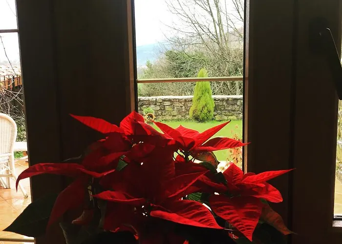 De Bed & Breakfast 3*