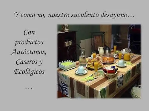 Bed & Breakfast De 3*